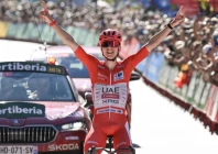 tadej pogacar won three stages of the vuelta and held a commanding lead in the race before crashing on stage eight photo afp