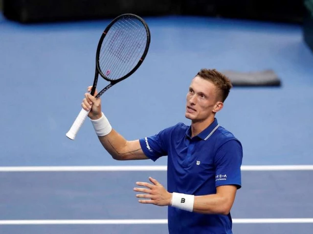 Czechs conquer USA to reach Davis Cup finals