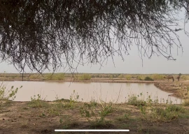 south punjab at god s mercy south punjab at god s mercy