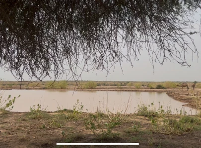 south punjab at god s mercy south punjab at god s mercy