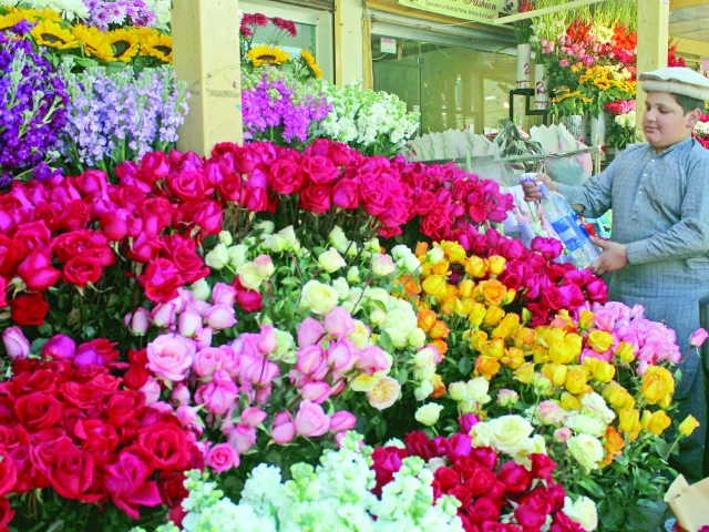 roses are red violets are blue flowers of various kinds and colours are kept just for you to give to yourself or to your loved ones at the sector f 6 flower market in the federal capital ahead of valentine s day photo raja zafar express roses are red violets are blue flowers of various kinds and colours are kept just for you to give to yourself or to your loved ones at the sector f 6 flower market in the federal capital ahead of valentine s day photo raja zafar express