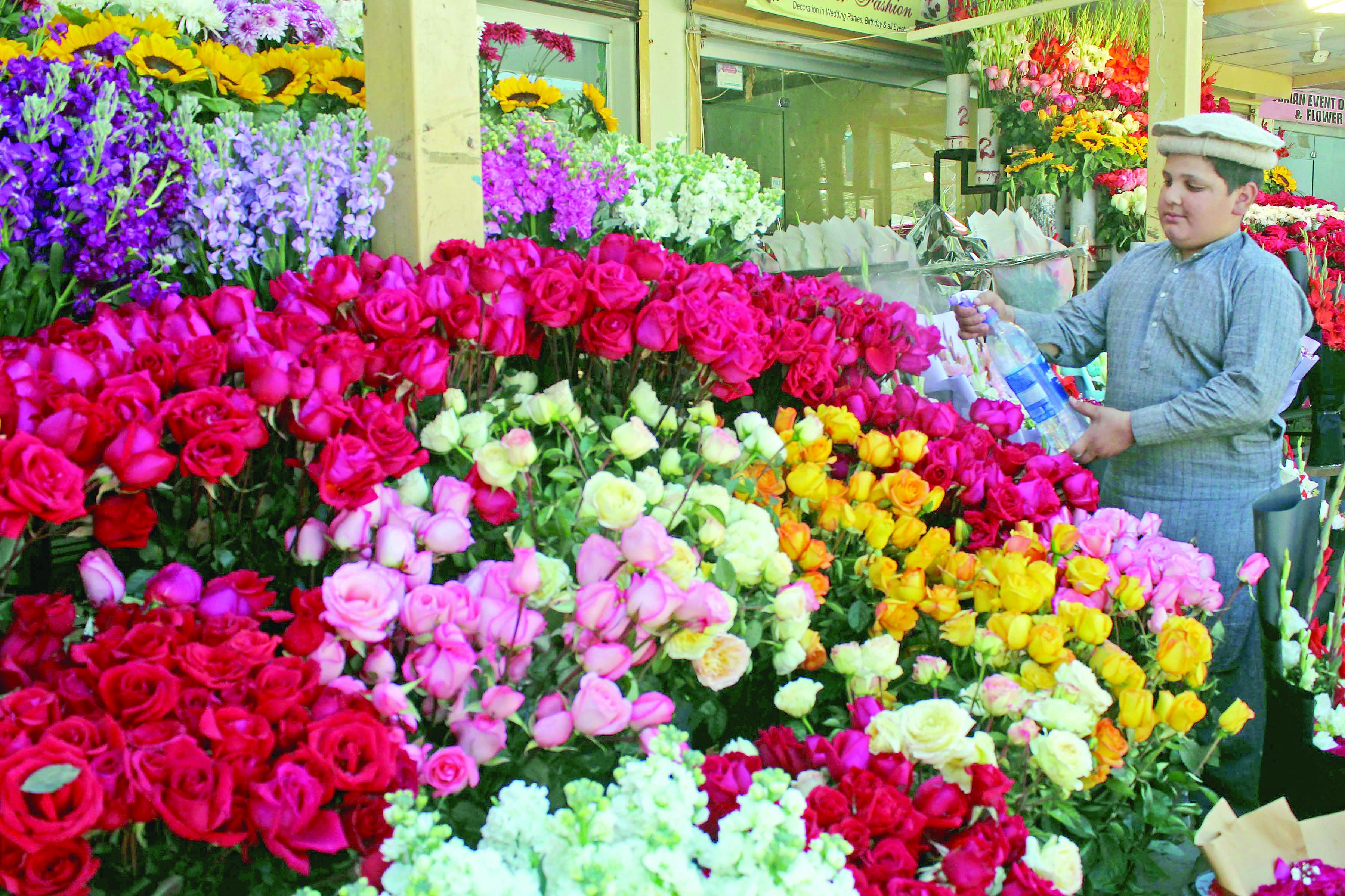 roses are red violets are blue flowers of various kinds and colours are kept just for you to give to yourself or to your loved ones at the sector f 6 flower market in the federal capital ahead of valentine s day photo raja zafar express