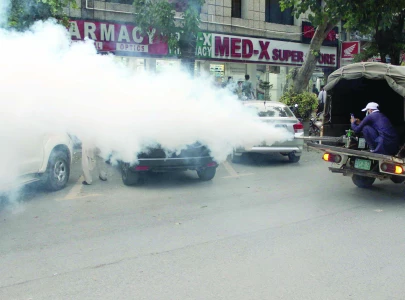ineffective strategy fuels dengue surge in pindi ineffective strategy fuels dengue surge in pindi