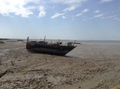 a boat stranded on the shore of thatta after a flood as a consequence of climate change frequency of floods has increased forcing entire communities living in the coastal areas to uproot themselves after every devastation fishermen along with their meagre belongings are left with little choice to move elsewhere in search of livelihood photo jahanzeb tahir jt76007