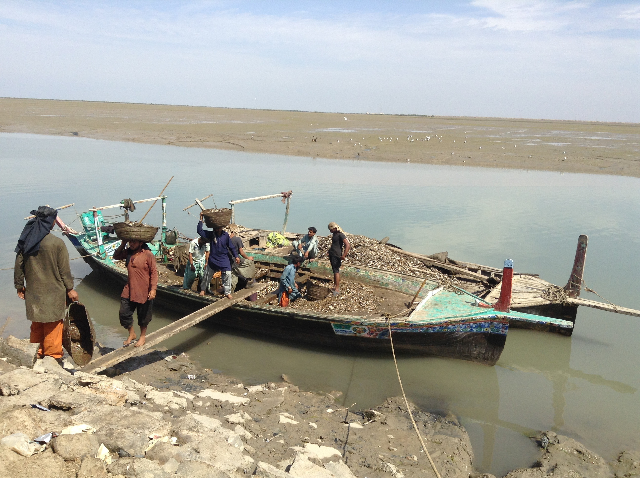 Fishermen offloading the fresh catch. PHOTO: JAHANZEB TAHIR