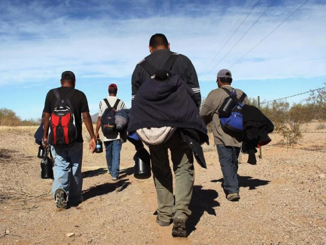 record number of immigrants died during the year 2024 photo bbc record number of immigrants died during the year 2024 photo bbc