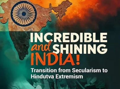 book review the shine wears off india book review the shine wears off india