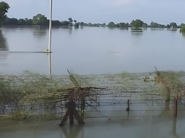 A broken section of the India-Pakistan border fence lies submerged under floodwaters. Photo by Author