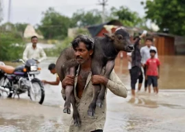 india s october rains may be too much of a good thing threaten harvests india s october rains may be too much of a good thing threaten harvests