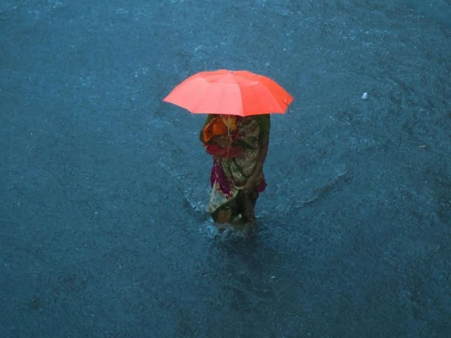 monsoon delivers 70 of india s rain vital for farms and economy half of farmland relies on june sept rains photo pexels monsoon delivers 70 of india s rain vital for farms and economy half of farmland relies on june sept rains photo pexels