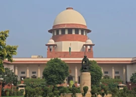 india s sc amends stray dog policy india s sc amends stray dog policy