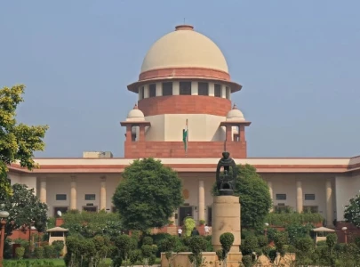 india s sc amends stray dog policy india s sc amends stray dog policy