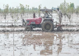 floods devastate india s breadbasket of punjab floods devastate india s breadbasket of punjab