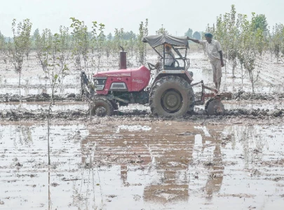 floods devastate india s breadbasket of punjab floods devastate india s breadbasket of punjab