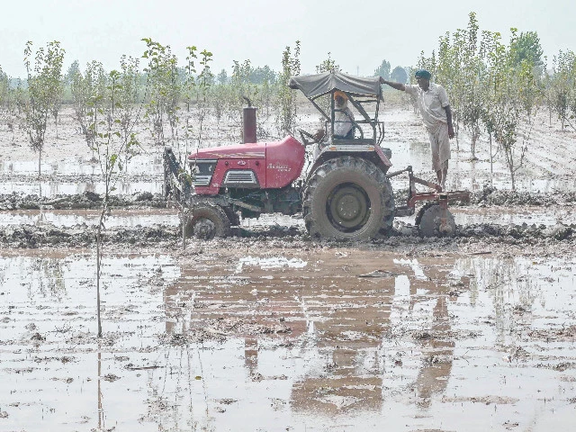 farmers plough a field in the village of shehzada on the outskirts of amritsar in indian punjab photo afp farmers plough a field in the village of shehzada on the outskirts of amritsar in indian punjab photo afp
