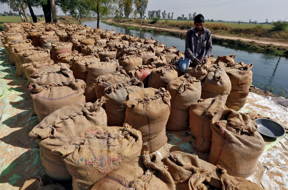 a worker packs a sack filled with rice on the outskirts of the western indian city of ahmedabad february 27 2015 photo reuters file