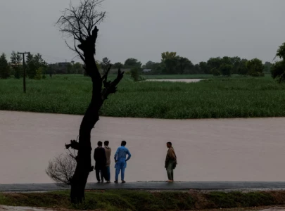 punjab rivers return to normal as monsoon ends dg pdma punjab rivers return to normal as monsoon ends dg pdma