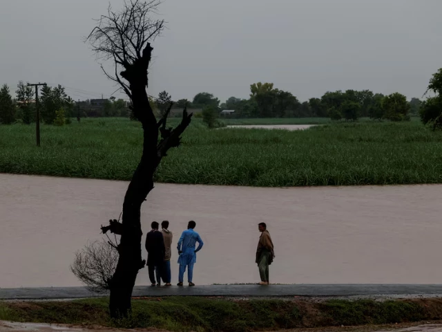 residents stand on a higher ground with the flooded field in the background following monsoon rains and rising water levels of the chenab river in patraki village chiniot district punjab province pakistan august 30 2025 photo reuters residents stand on a higher ground with the flooded field in the background following monsoon rains and rising water levels of the chenab river in patraki village chiniot district punjab province pakistan august 30 2025 photo reuters