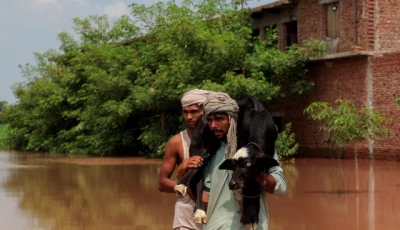 a man carries a new born buffalo calf as he wades through a flooded road following monsoon rains and rising water levels of the chenab river in qadirabad village near the chenab river in punjab province pakistan august 28 2025 photo reuters