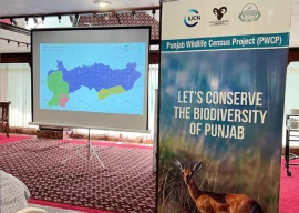punjab biodiversity census widens into full scale botanical study punjab biodiversity census widens into full scale botanical study