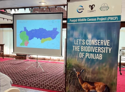 punjab biodiversity census widens into full scale botanical study punjab biodiversity census widens into full scale botanical study