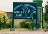 punjab wildlife protection restructured to three zones punjab wildlife protection restructured to three zones