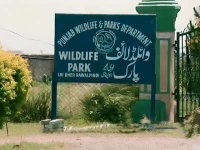punjab wildlife protection restructured to three zones punjab wildlife protection restructured to three zones
