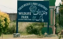 punjab wildlife protection restructured to three zones punjab wildlife protection restructured to three zones