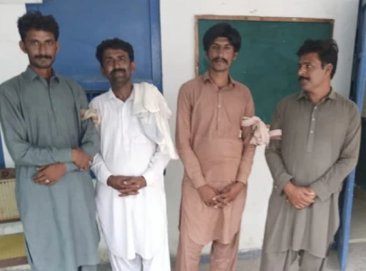 four convicted for illegal chinkara deer hunting in punjab four convicted for illegal chinkara deer hunting in punjab