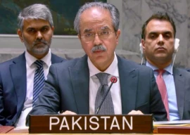 pakistan calls for permanent gaza ceasefire at unsc pakistan calls for permanent gaza ceasefire at unsc