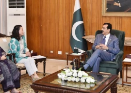 gilani calls for expanding climate resilience efforts in pakistan gilani calls for expanding climate resilience efforts in pakistan