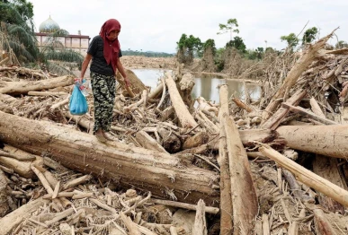 a survivor carries relief supplies while walking through tree trunks that were stranded in an area affected by a deadly flash flood following heavy rains in karang baru aceh tamiang regency aceh province indonesia december 6 2025 photo reuters