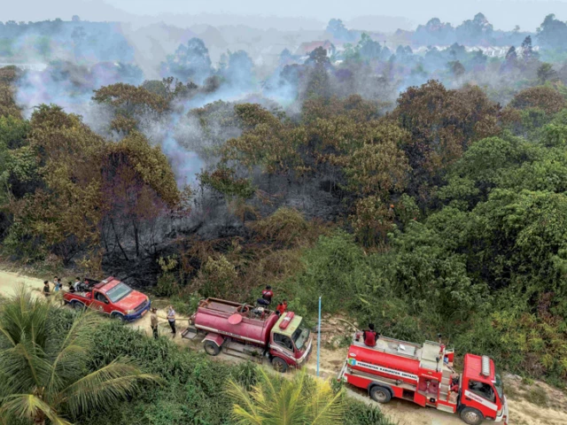 firefighters battle peatland fires in sintang west kalimantan as thick smoke rises from the burning landscape photo afp firefighters battle peatland fires in sintang west kalimantan as thick smoke rises from the burning landscape photo afp