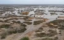 sindh s drowning delta
