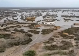 sindh s drowning delta