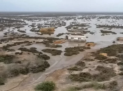 sindh s drowning delta