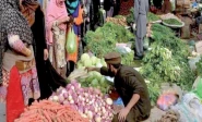 price movements the price of onions an essential kitchen item rose 75 year on year while milk products became nearly 10 more expensive however potato prices fell 35 and sugar prices dropped 21 due to sufficient stocks and the government s resistance to millers export demands photo file
