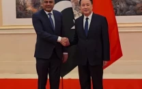 pakistan to set up special unit in islamabad to protect chinese citizens