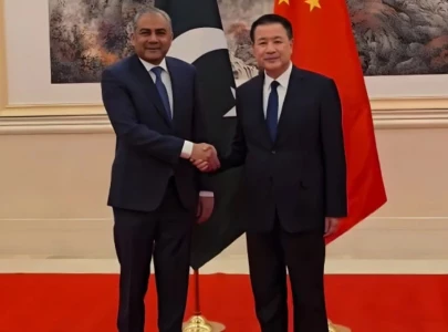 pakistan to set up special unit in islamabad to protect chinese citizens