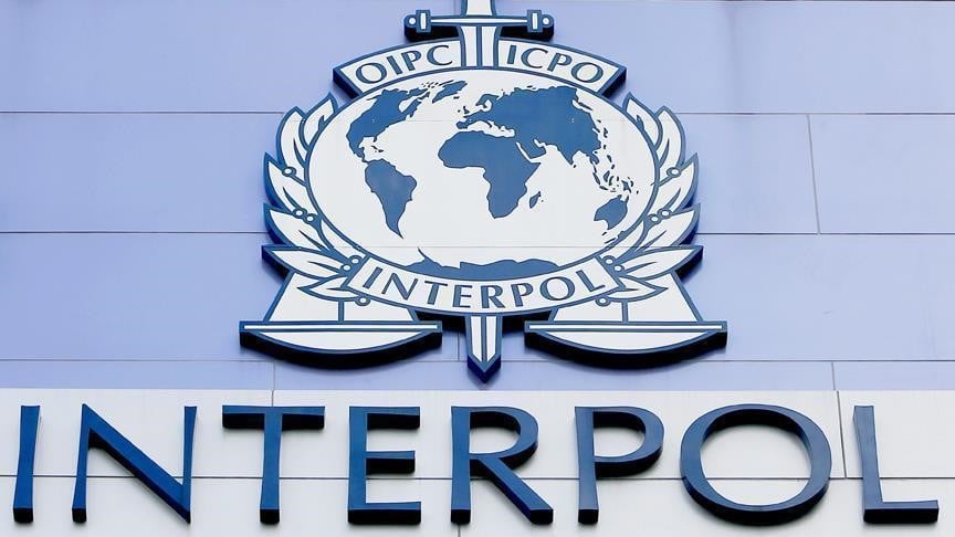 interpol arrests 219 in major crackdown on human trafficking network