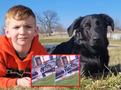brutal shooting of iowa family dog sparks outrage brutal shooting of iowa family dog sparks outrage