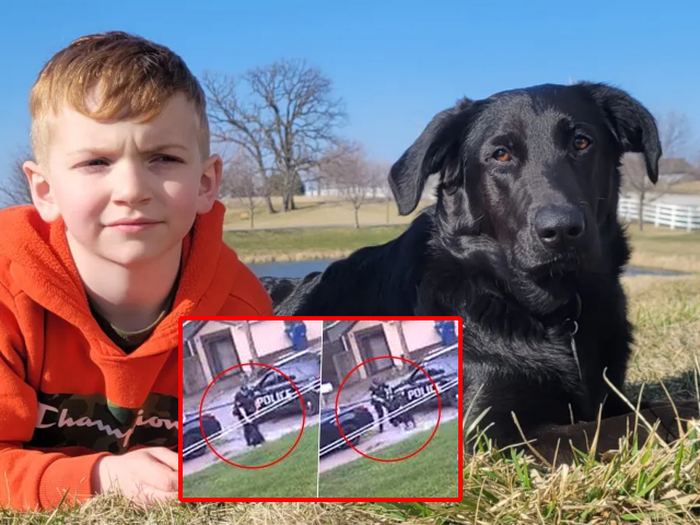 brutal shooting of iowa family dog sparks outrage brutal shooting of iowa family dog sparks outrage