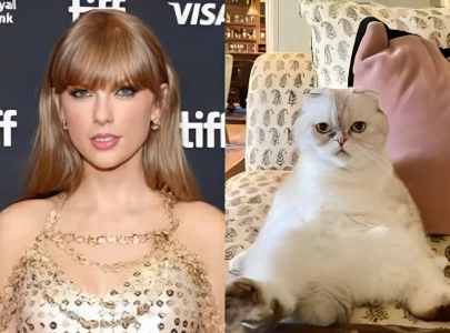 taylor swift s cat is worth 97 million reports