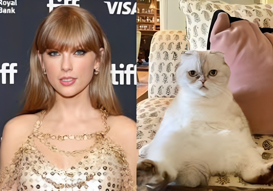 Taylor Swift's cat is worth 97 million reports