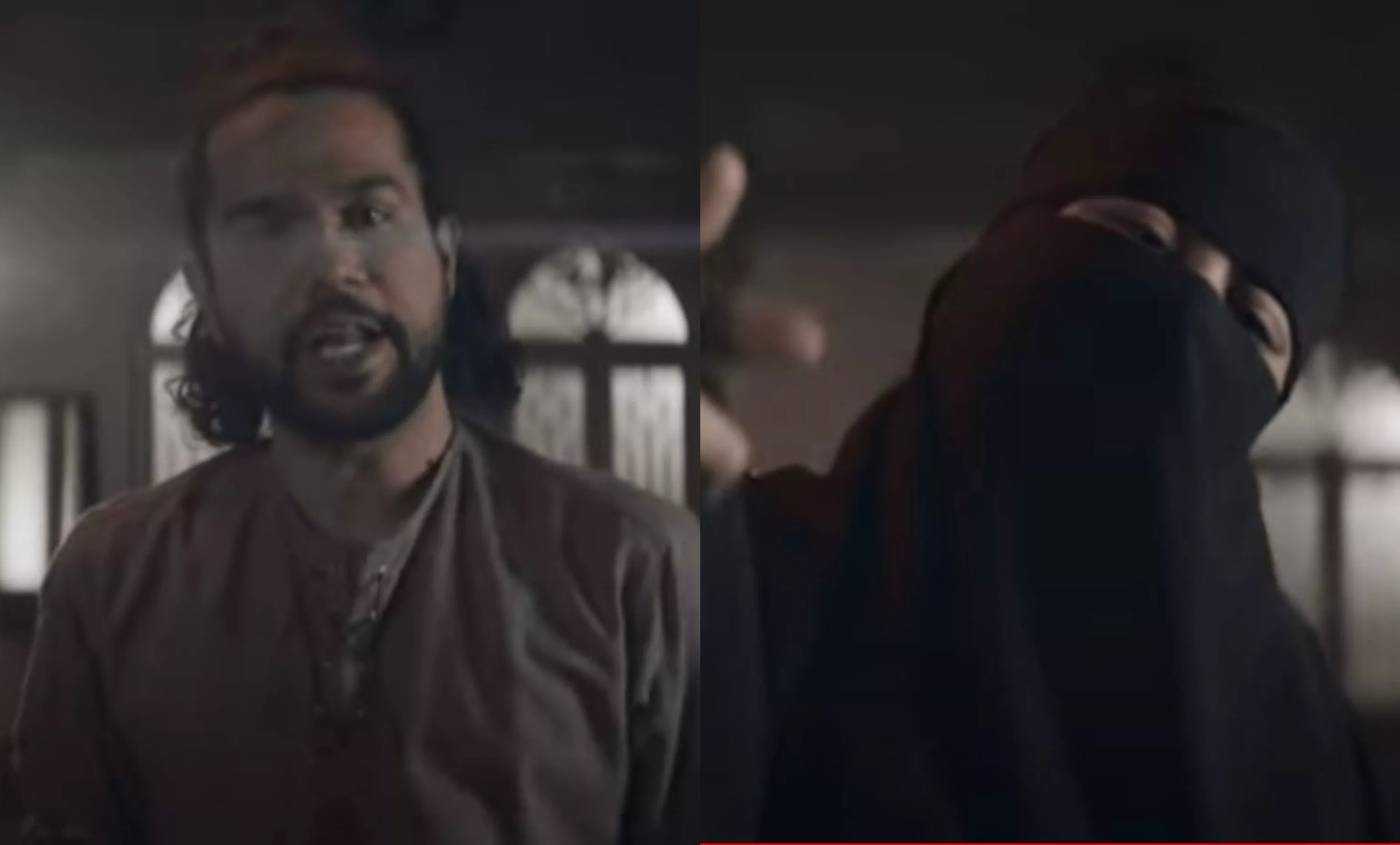 ali gul pir eva b s tera jism meri marzi is an attack on patriarchy