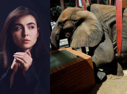 pakistan incapable of showing mercy to animals natasha baig others on elephant noor jehan s fall