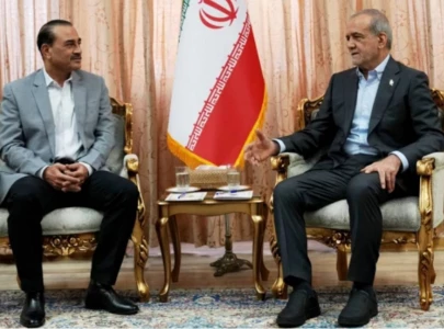 iran hails cdf s visit as highly fruitful