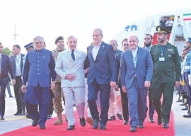 red carpet rolled out for iran s president