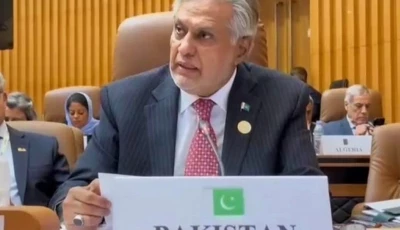 deputy prime minister and foreign minister senator ishaq dar addressing the 15th oic islamic summit conference in banjul on may 5 2024 photo pid