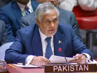 dpm and fm ishaq dar addressing the unsc session on palestine in new york photo mofa